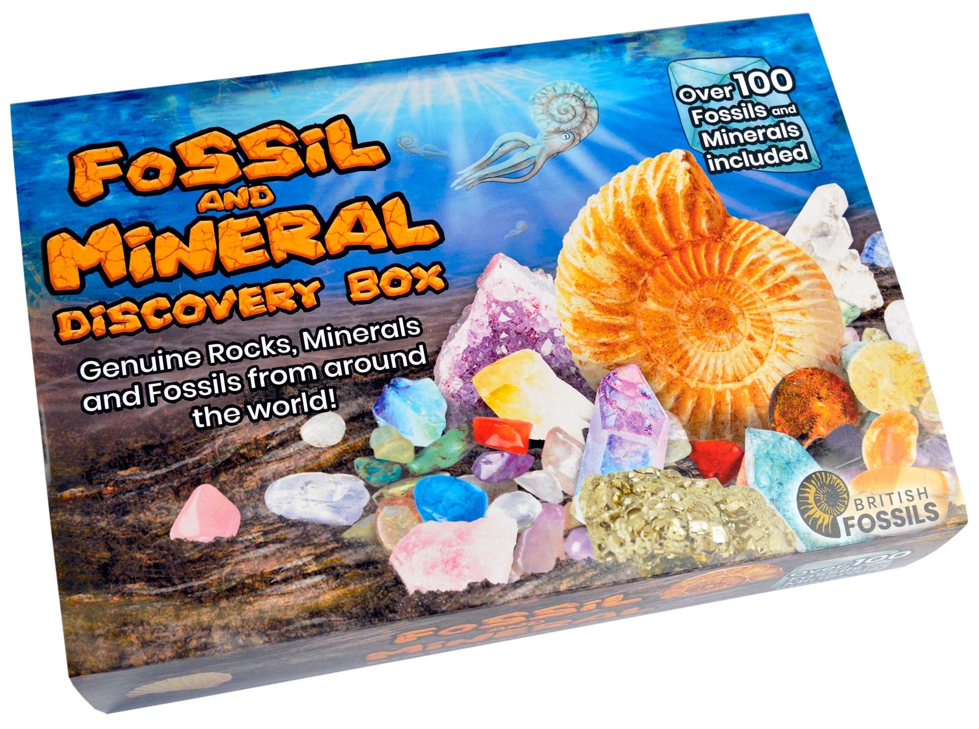 British Fossils Fossil and Mineral Discovery Box Dreampiece