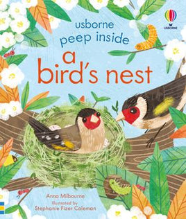 Usborne Peep Inside a Bird's Nest