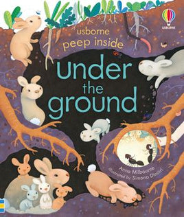 Usborne Peep Inside Under the Ground